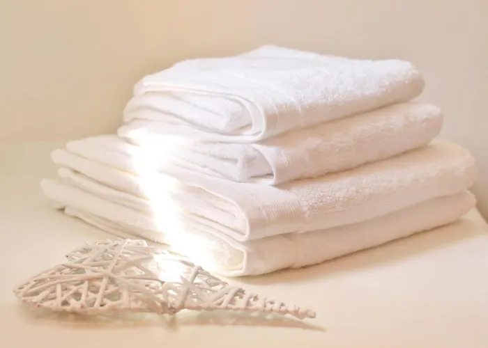 特尔格米科诺斯别墅 *